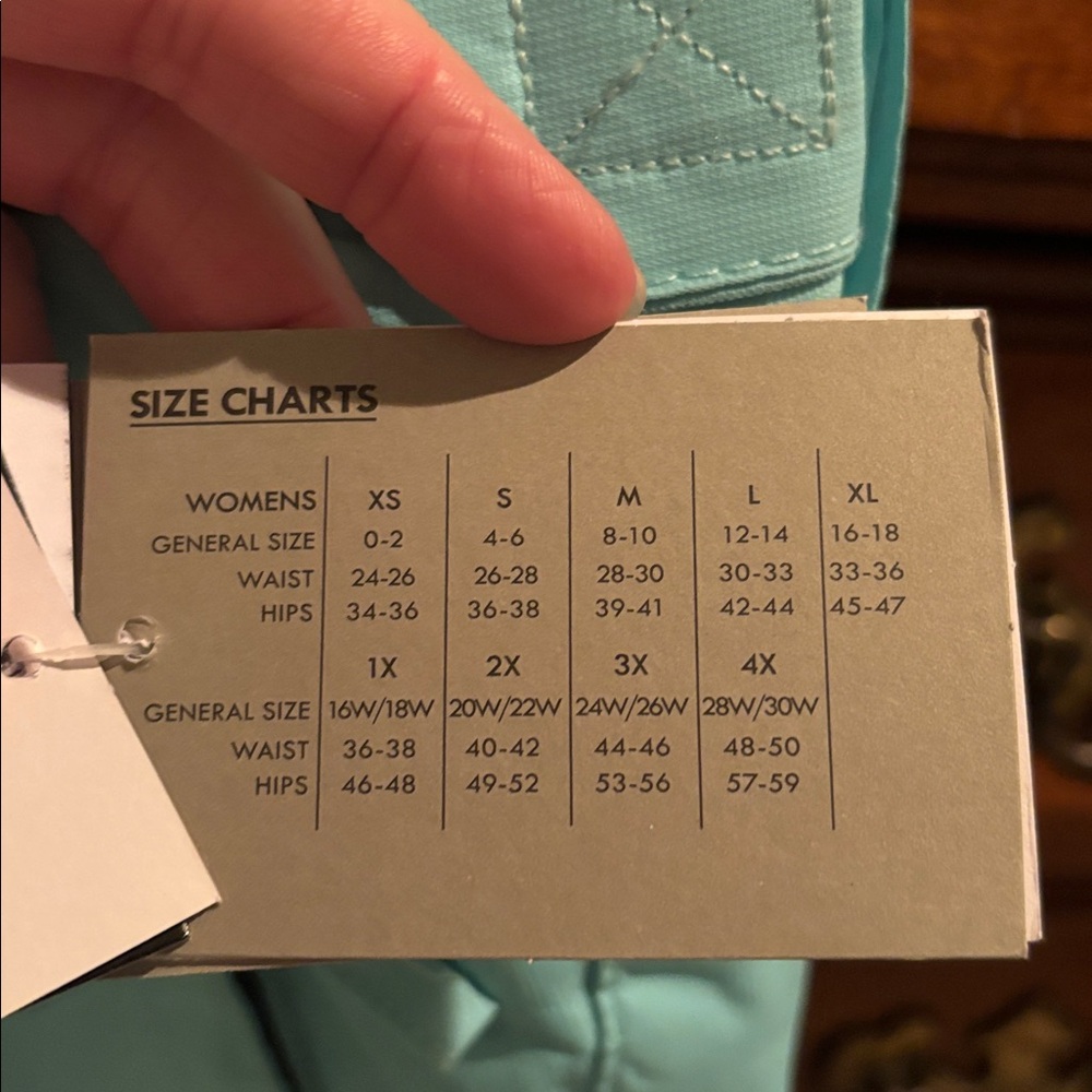 Arctix Teal Insulated Snow Pants - Picture 8 of 12
